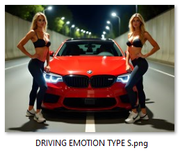 DRIVING-EMOTION-TYPE-S