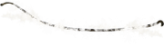 43
