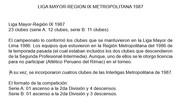 Liga Mayor-Región IX 1987