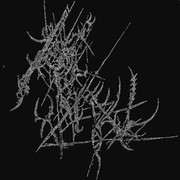 photo-5375127725745573993-y