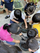 photo-littlefarmer2223-2A-005