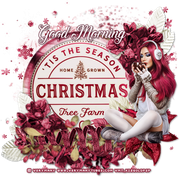 kgsweetcappaccinoGood Morning