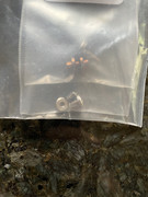 78F2E4B8-D475-4FEE-8A29-66203A4B2890