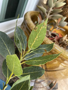 38DA0F22-8FA8-402E-8AD3-AA08C34924DB