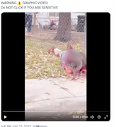 Screenshot Capture - 2023-09-16 - 02-47-15