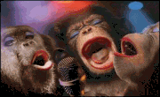 singes qui chante (1)
