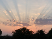 2346259-C-6-A37-483-B-9-C41-4-D52-F4-AE43-CF.jpg