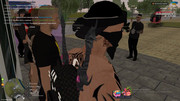 IMG-8688