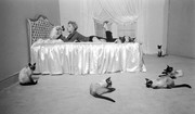 kim-novak-426