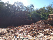 WhatsApp Image 2020-01-31 at 15.50.54 (3)