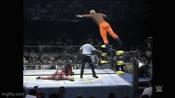 9vqkhh.gif