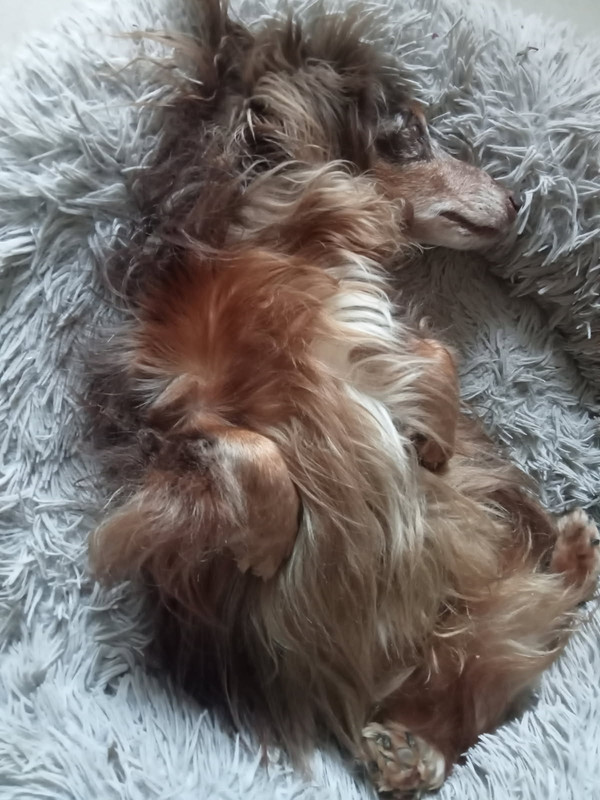 [Image: IMG-20250530-173115.jpg]