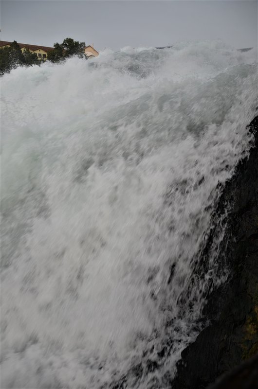 CATARATAS DEL RHIN-5-9-2019 - Suiza y sus pueblos-2019 (26)