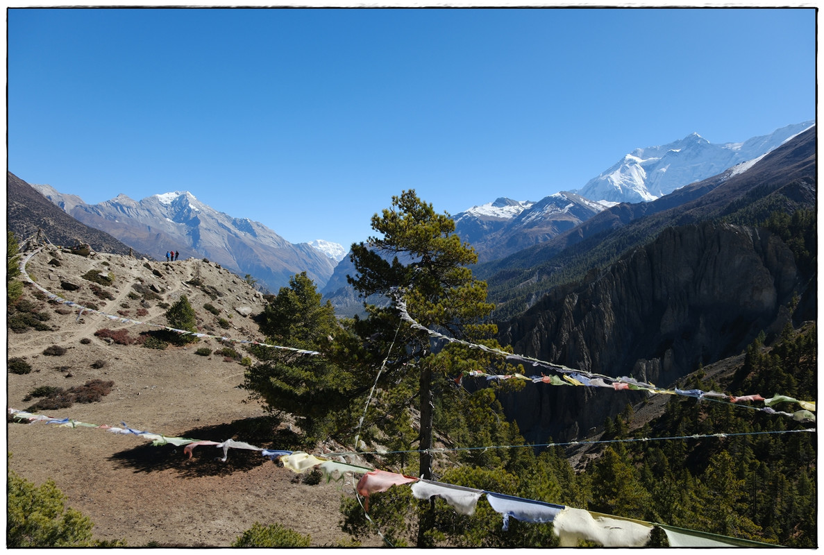Trekking en Nepal: Annapurna Circuit y Mardi Himal - Blogs de Nepal - AC día 6: Bhraka (3500 m) a Manang (3570 m) (10)