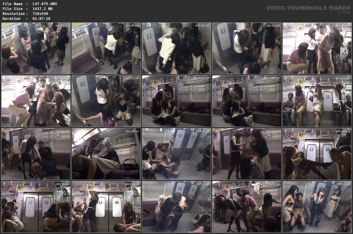 CAT-075.WMV