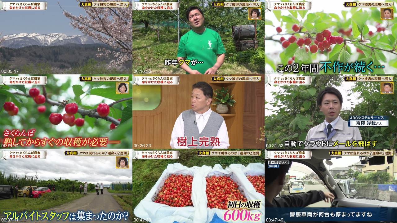 AKB48 260628 大進撃 運上弘菜 ウェブストリームプレビュー画像 | AKB48 260628 Dai Shinsou Unjo Hirona Webstream Preview Screenshot
