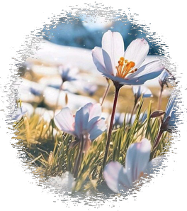 fbf8961e2f8b8380097236e288fbcbeb