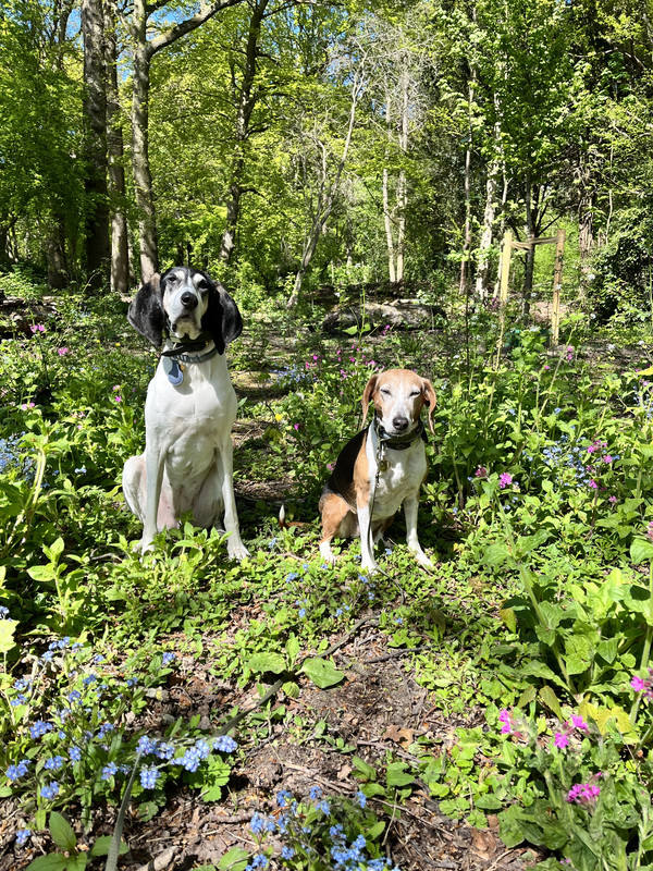 F968C6FE-EBE1-43EB-AA84-9A50C24ED5FC