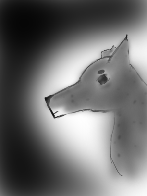 Untitled-12.png