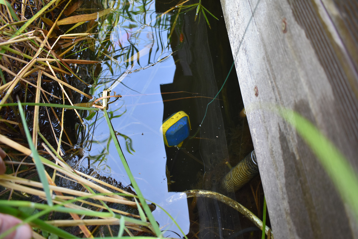 DSC_0005 - Copie (2)