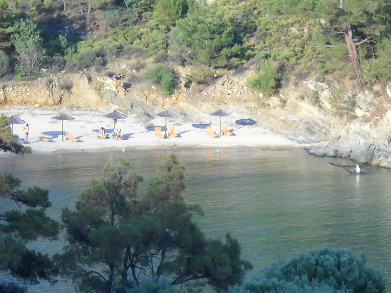 Slika