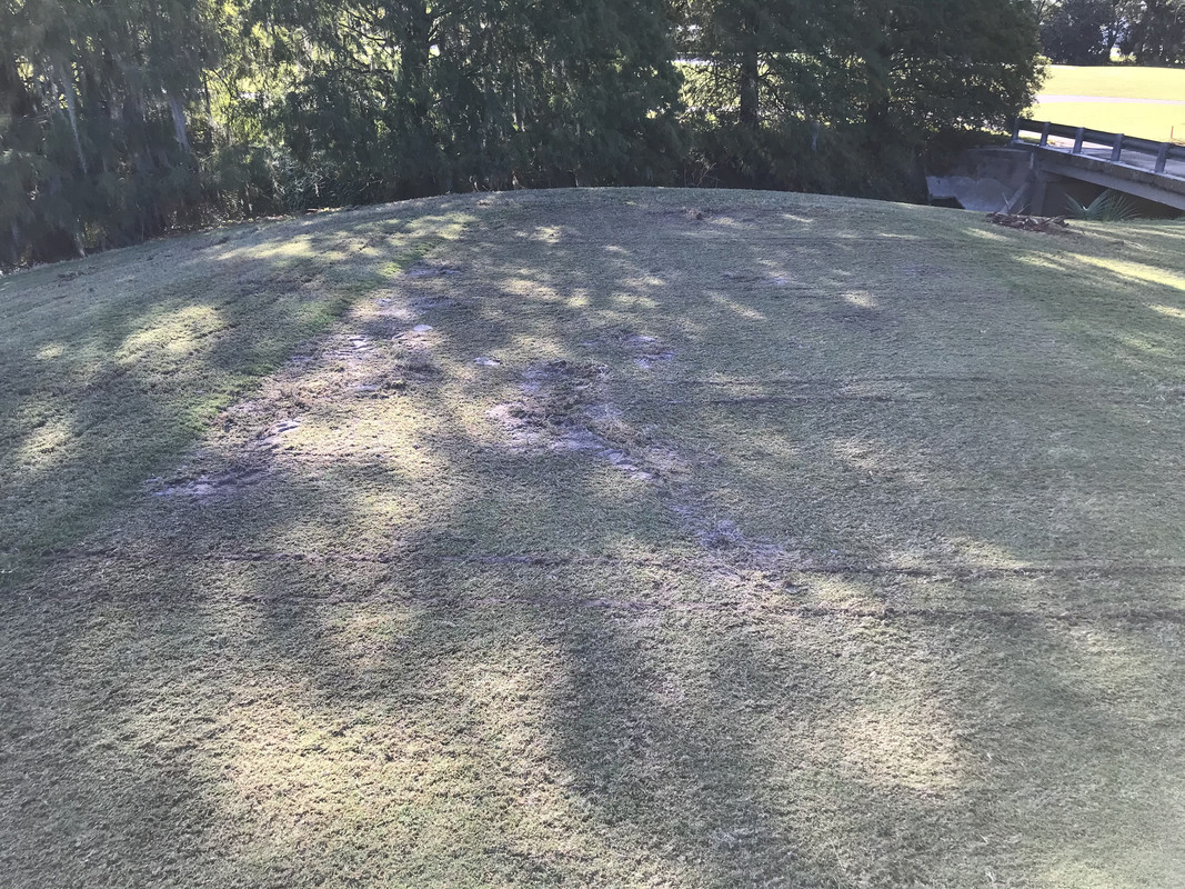 D28F11F3-D90D-4918-83FA-6BB94FF576B8