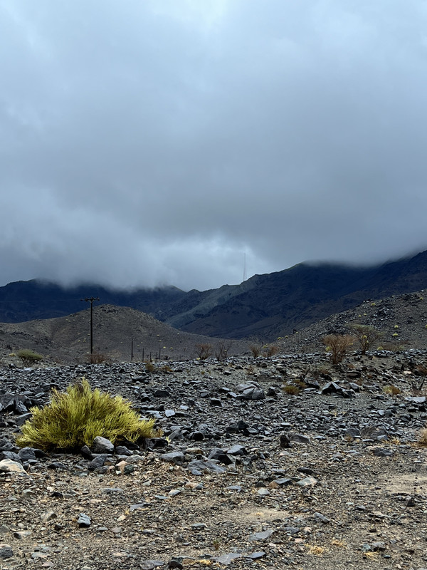 7F3C7987-3376-4226-B282-5F00C4A7BF0C