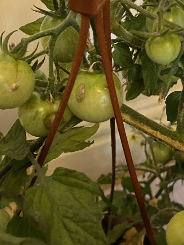 491F269D-B9BB-40A7-AA35-C8AE5A0BACB8