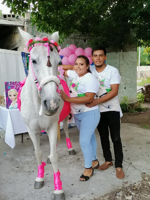 Familia en Yucatán celebra baby shower a su yegua y se vuelve viral