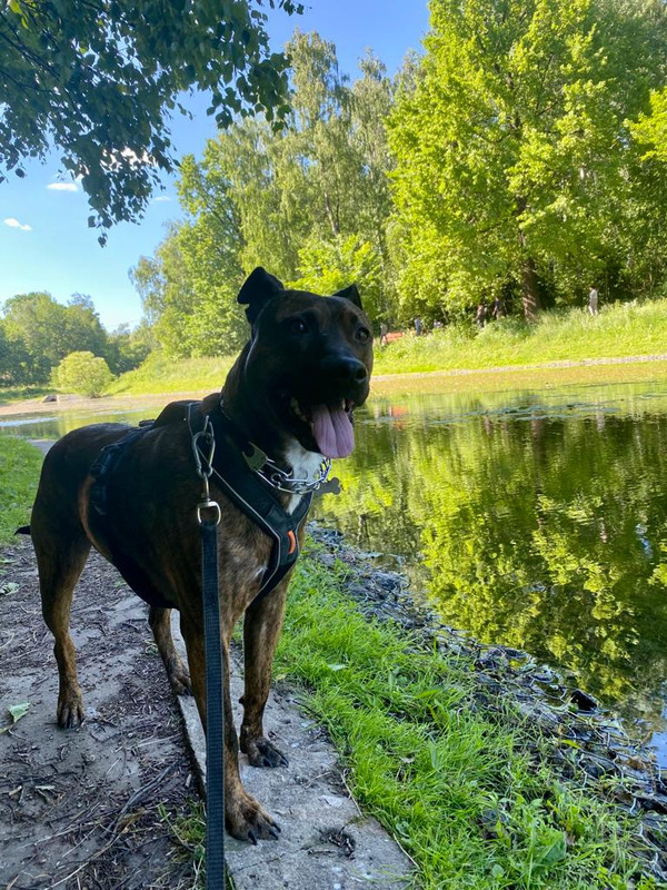 DB19D175-2B96-47E8-8415-97CCB171EA8C