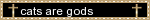 cats are gods
