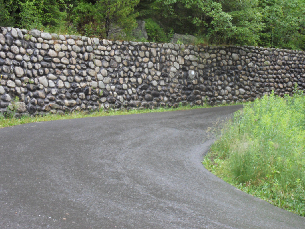 037 - SDC13908 (Czesio1)