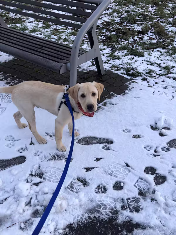 5A1D0335-64E1-478A-B2CD-AACEC569E736