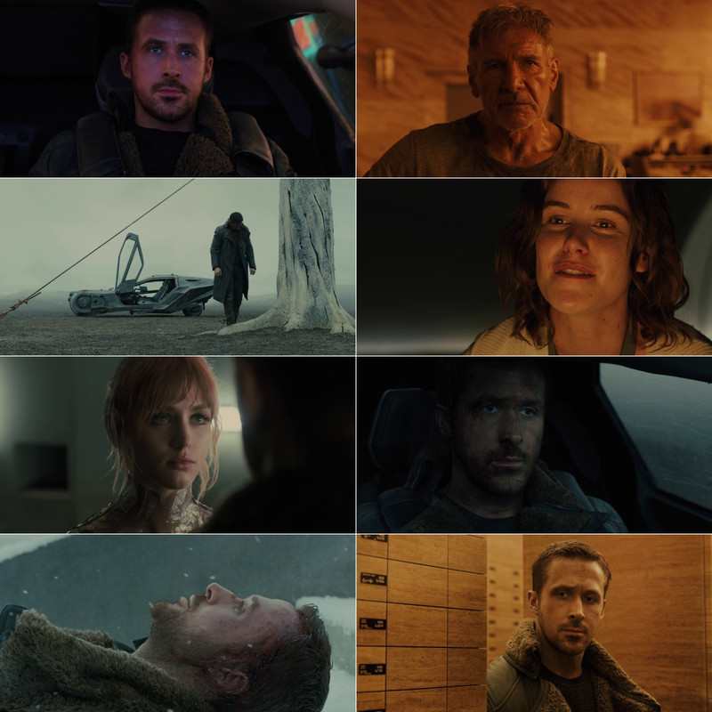 Blade Runner 2049 (2017) Dual Audio [Hindi - English] Full Movie BluRay ESub screenshot