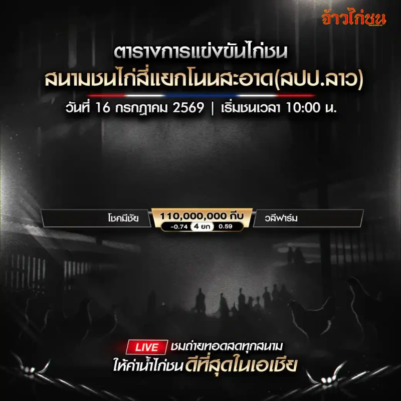 โปรแกรมไก่ชน สนามชนไก่สี่แยกโนนสะอาด 16 กรกฎาคม 2569