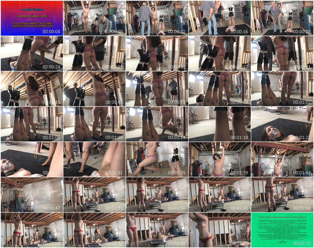 0409BD.wmv