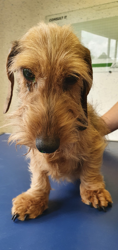 [Image: 20230509-181139.jpg]