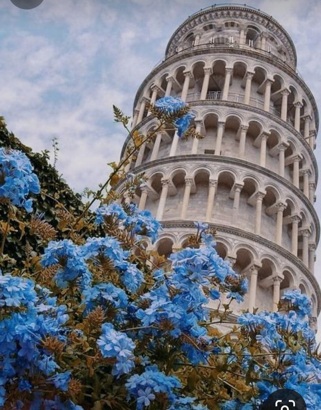 Screenshot_20230907_192957_Pinterest