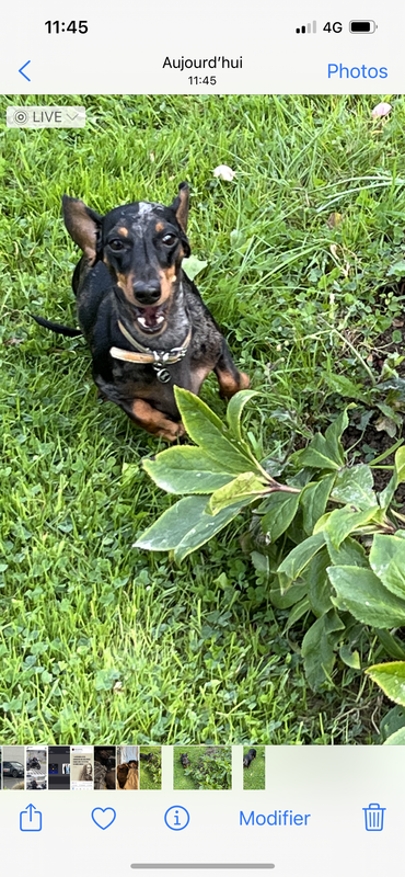 [Image: 75-CAF0-AF-068-B-4-D10-B3-A0-8-D294-F5-D676-B.png]