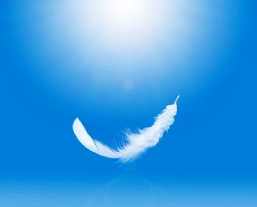 ABITARE LE PAROLE / DELICATEZZA dans Fede, morale e teologia Piuma