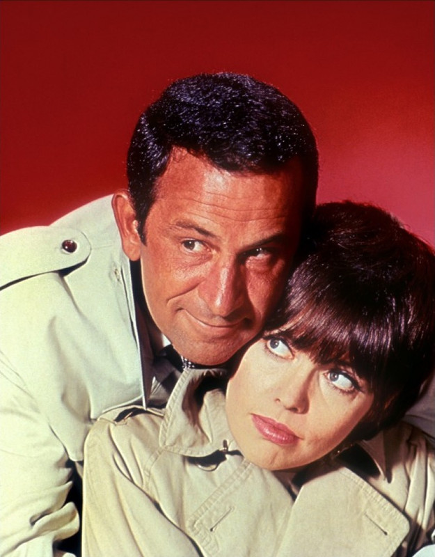 Barbara_Feldon_a91