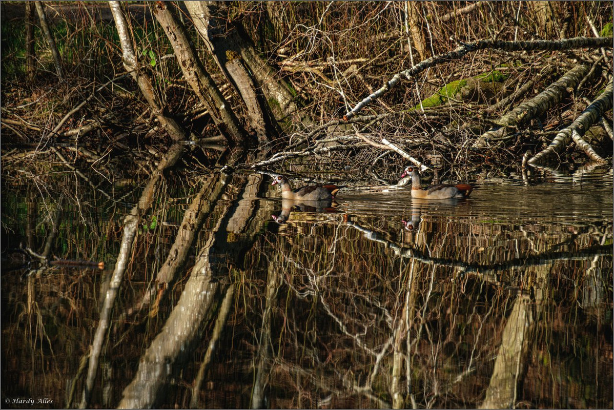 XT5A0875-Verbessert-RR 2024 Burbach 3 LR ERWZ FB