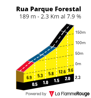 [Immagine: Figueira2024a.png]