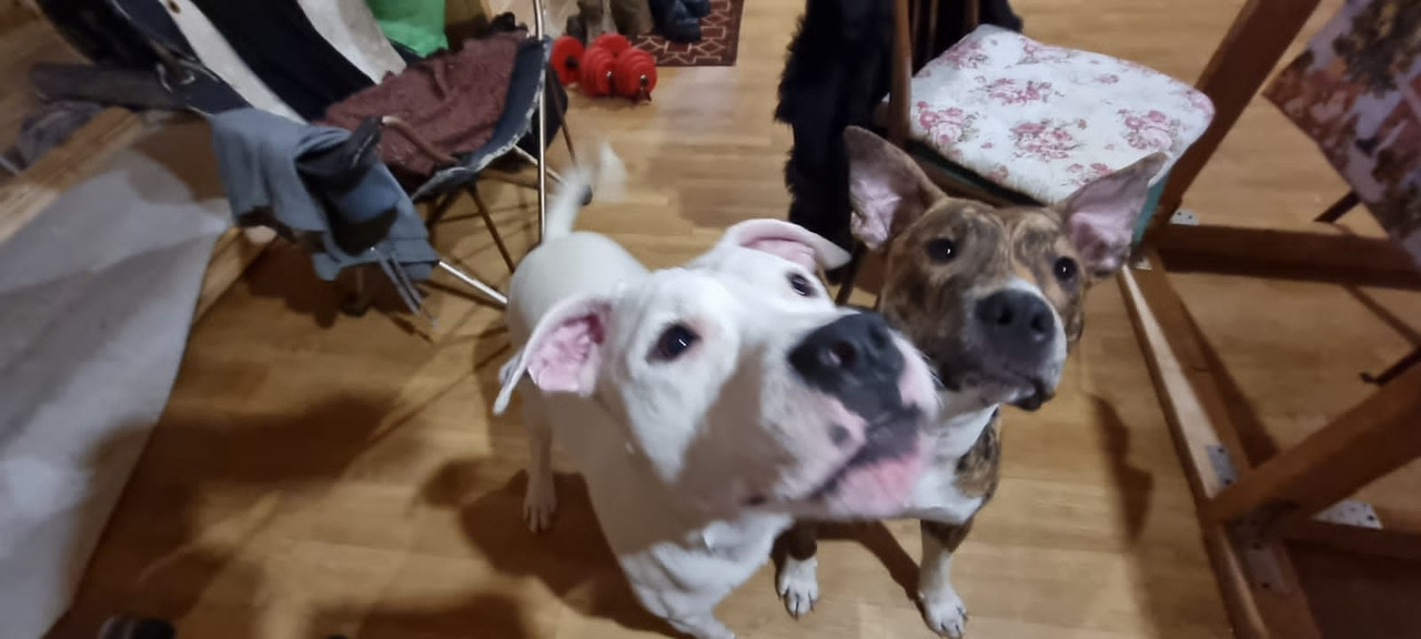 CD79D58A-8C3C-4738-B62E-81E746091FAC