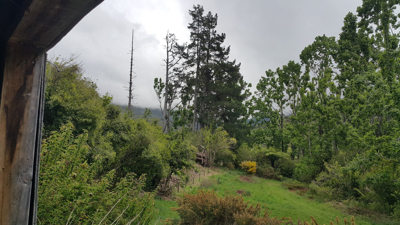 20201018_142109 (Large)