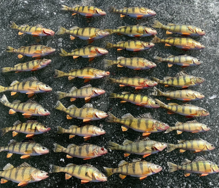 2F49A695-889A-442C-92C7-146900D8210F