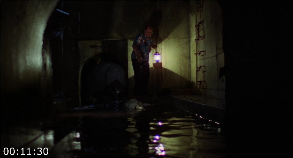 Alligator-1980-2160p-Blu-Ray-3500-MB-DDP2-0-x264-Galaxy-RGTGx.jpg