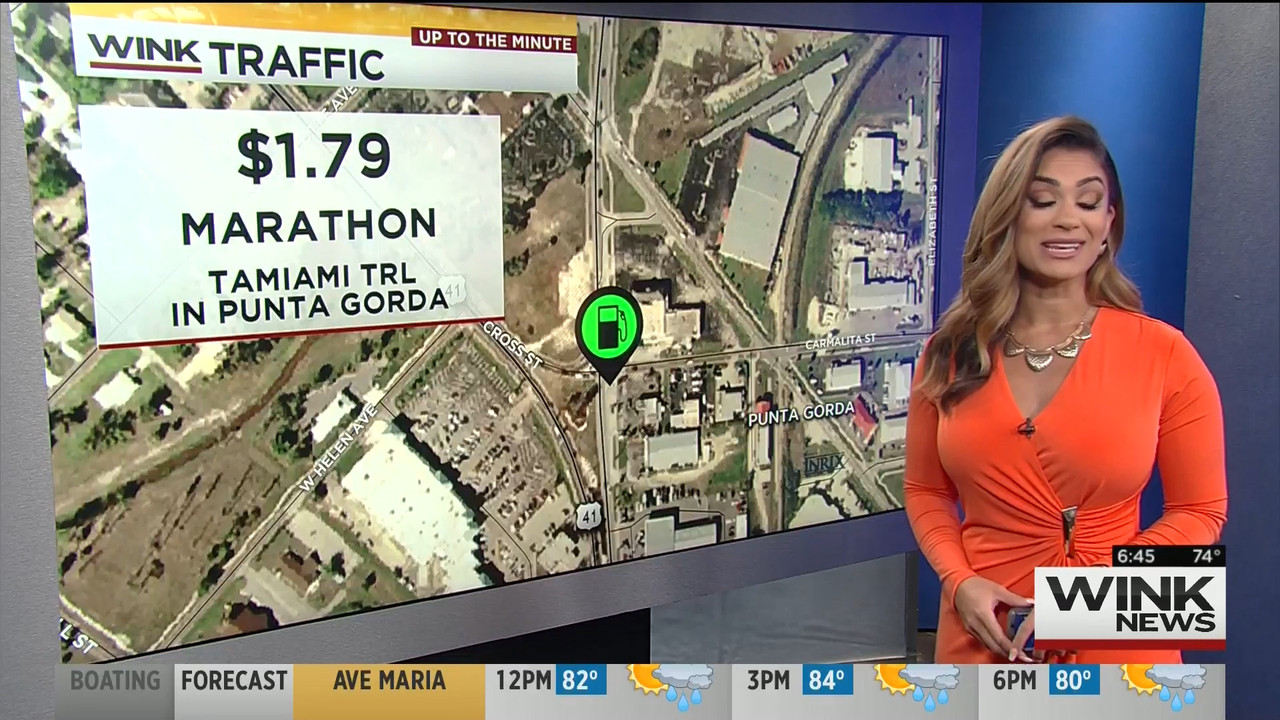 04 June - 11.00.00 - WINK News This Morning..ts_snapshot_00.49.36_[2020.06.04_17.11.04]