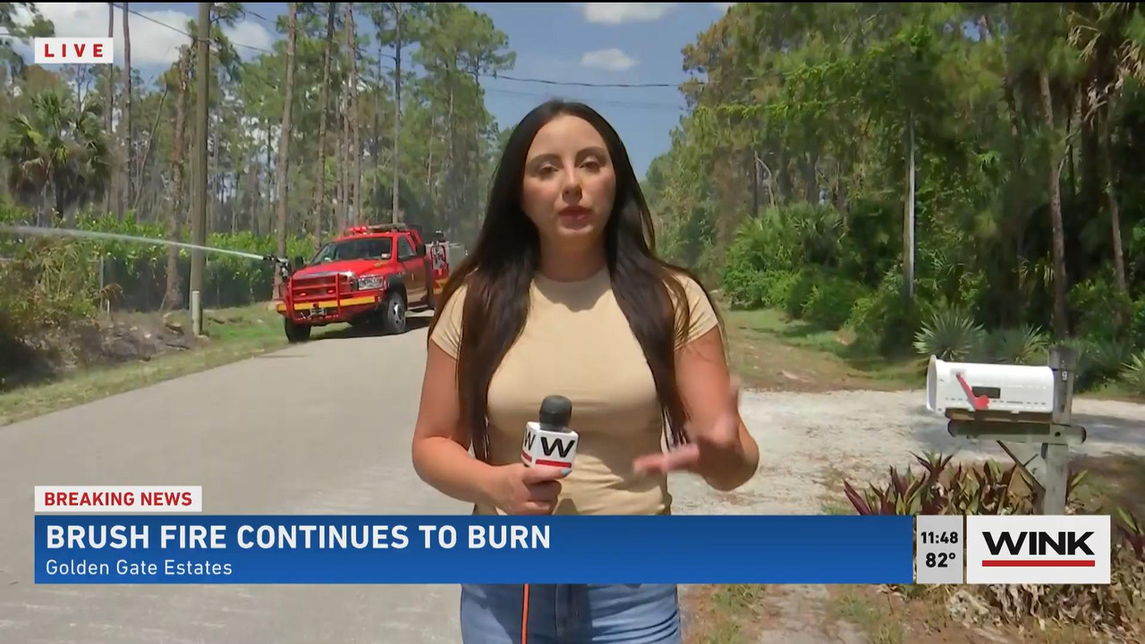 05.23 - 16.30.00 - WINK News @ 11 30AM. Local news, sports and weathe....ts_snapshot_16.02_[2021.05.
