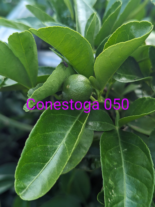 PXL_20240602_193548924~2